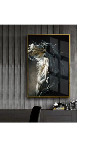 Harikabirev HARİKABİREV|SİYAH-BEYAZ BEYAZ AT TABLOSU 1 |ÇERÇEVELİ TEMPERLİ CAM TABLO TEKLİ DİKEY ürün görseli