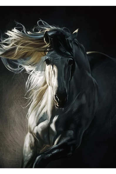 Harikabirev HARİKABİREV|SİYAH-BEYAZ BEYAZ AT TABLOSU 1 |ÇERÇEVELİ TEMPERLİ CAM TABLO TEKLİ DİKEY - Resim 2