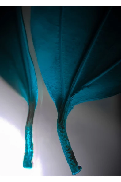 Harikabirev HARİKABİREV|MAVİ-YEŞİL YAPRAK SOYUT KOMBİNİ |ÇERÇEVELİ CAM TABLO 3LÜ DİKEY - Resim 2