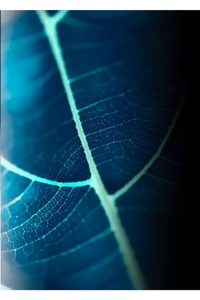 Harikabirev HARİKABİREV|MAVİ-YEŞİL YAPRAK SOYUT KOMBİNİ |ÇERÇEVELİ CAM TABLO 3LÜ DİKEY ürün görseli