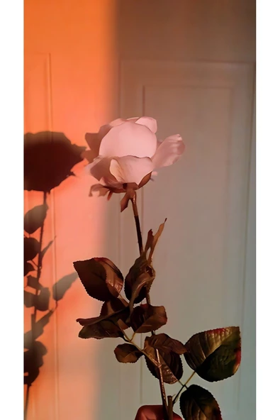 Harikabirev HARİKABİREV|SOFT PEMBE TONLU RENK ÇİÇEKLİ KOMBİNİ |ÇERÇEVELİ TEMPERLİ CAM TABLO 3LÜ YATAY - Resim 2