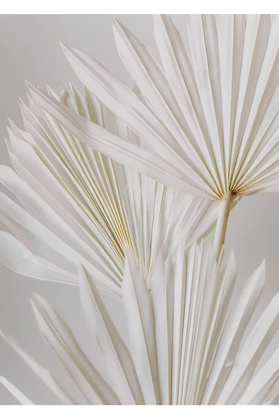 Harikabirev HARİKABİREV|SOFT RENK PÜSKÜL VE ÇİÇEK KOMBİNİ BEYAZ KREM |ÇERÇEVELİ CAM TABLO 3LÜ DİKEY - Resim 4