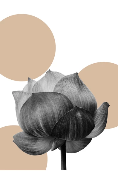 Harikabirev HARİKABİREV|KREM-GRİ ÇİÇEK VE SOYUR KOMBİNİ |ÇERÇEVELİ CAM TABLO 3LÜ DİKEY - Resim 3