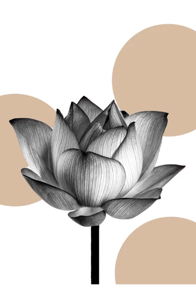 Harikabirev HARİKABİREV|KREM-GRİ ÇİÇEK VE SOYUR KOMBİNİ |ÇERÇEVELİ CAM TABLO 3LÜ DİKEY - Resim 2