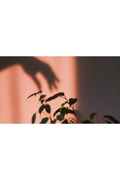 Harikabirev HARİKABİREV|SOFT PEMBE TONLU RENK ÇİÇEKLİ KOMBİNİ |ÇERÇEVELİ TEMPERLİ CAM TABLO 3LÜ YATAY - Resim 3