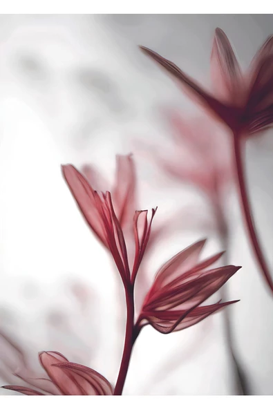 Harikabirev HARİKABİREV|GÜL KURUSU PEMBE RENK SOYUT ÇİÇEK YAPRAK |ÇERÇEVELİ CAM TABLO  3LÜ DİKEY - Resim 5