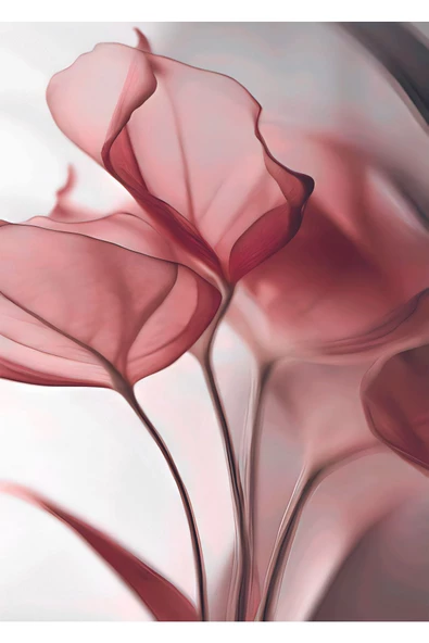 Harikabirev HARİKABİREV|GÜL KURUSU PEMBE RENK SOYUT ÇİÇEK YAPRAK |ÇERÇEVELİ CAM TABLO  3LÜ DİKEY - Resim 4