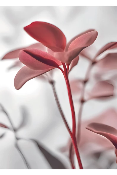 Harikabirev HARİKABİREV|GÜL KURUSU PEMBE RENK SOYUT ÇİÇEK YAPRAK |ÇERÇEVELİ CAM TABLO  3LÜ DİKEY - Resim 3