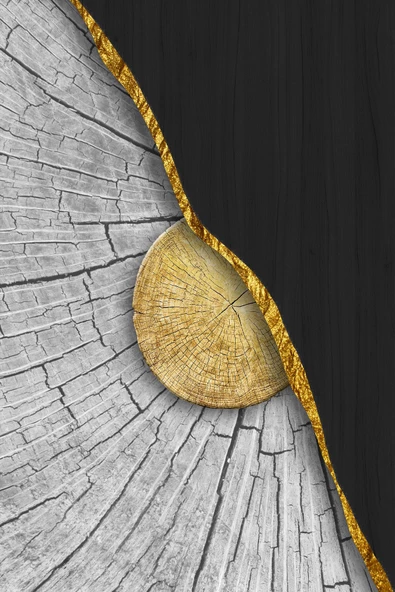 Harikabirev HARİKABİREV|SİYAH -GOLD RENK SOYUT SET 02 |ÇERÇEVELİ CAM TABLO 3LÜ DİKEY - Resim 2