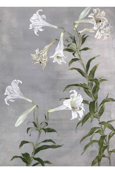 Harikabirev HARİKABİREV|GRİ-BEYAZ ÇİÇEK KOMBİNİ YENİ|ÇERÇEVELİ CAM TABLO  2Lİ DİKEY - Resim 3