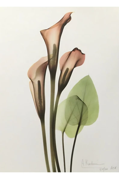 Harikabirev HARİKABİREV|PEMBE-YEŞİL ÇİÇEK MODELİ YENİ 01|ÇERÇEVELİ CAM TABLO  2Lİ DİKEY - Resim 2