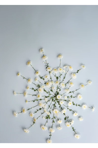 Harikabirev HARİKABİREV|BEYAZ SOFT RENK ÇİÇEK KOMBİNİ 1 YENİ|ÇERÇEVELİ CAM TABLO  2Lİ DİKEY - Resim 2