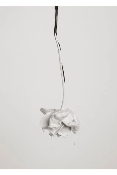 Harikabirev HARİKABİREV|SOFT SİYAH-BEYAZ GÜL KOMBİNİ 1|ÇERÇEVELİ CAM TABLO  2Lİ DİKEY - Resim 2