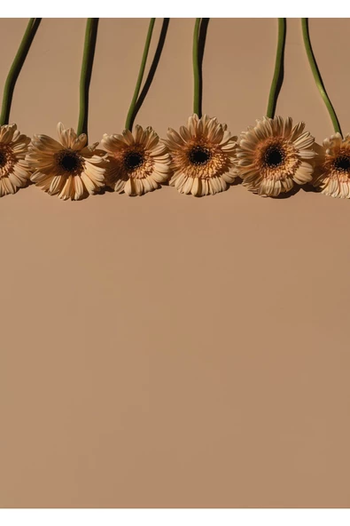 Harikabirev HARİKABİREV|BEJ RENK ÇİÇEK KOMBİNİ YENİ |ÇERÇEVELİ CAM TABLO 2Lİ DİKEY - 2