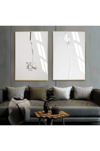 Harikabirev HARİKABİREV|SOFT SİYAH-BEYAZ GÜL KOMBİNİ 1|ÇERÇEVELİ CAM TABLO  2Lİ DİKEY