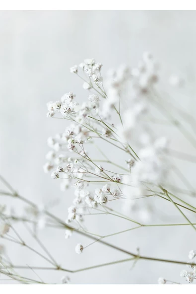 Harikabirev HARİKABİREV|BEYAZ SOFT RENK ÇİÇEK KOMBİNİ 1 YENİ|ÇERÇEVELİ CAM TABLO  2Lİ DİKEY - Resim 3