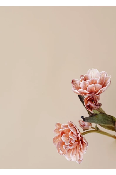 Harikabirev HARİKABİREV|BEJ-PEMBE ÇİÇEK SOYUT KOMBİNİ YENİ|ÇERÇEVELİ CAM TABLO  2Lİ DİKEY - 2