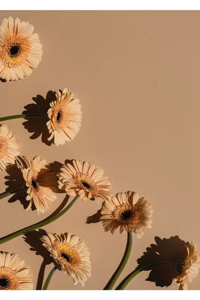 Harikabirev HARİKABİREV|BEJ RENK ÇİÇEK  KOMBİNİ YENİ |ÇERÇEVELİ CAM TABLO  2Lİ DİKEY - 3