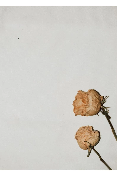 Harikabirev HARİKABİREV|KURU GÜL KOMBİNİ 01 |ÇERÇEVELİ CAM TABLO  2Lİ DİKEY - 2