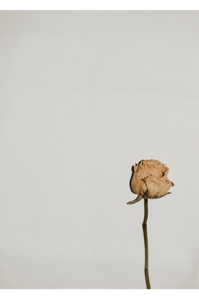 Harikabirev HARİKABİREV|KURU GÜL KOMBİNİ 01 |ÇERÇEVELİ CAM TABLO 2Lİ DİKEY - 3