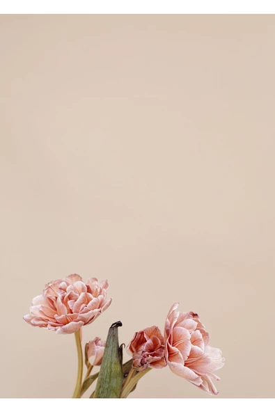 Harikabirev HARİKABİREV|BEJ-PEMBE ÇİÇEK SOYUT KOMBİNİ YENİ|ÇERÇEVELİ CAM TABLO  2Lİ DİKEY - 3