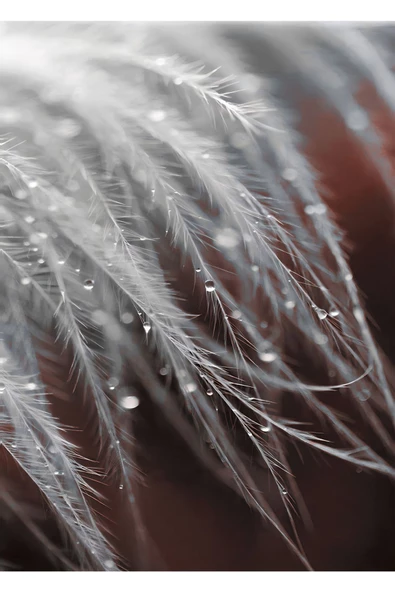 Harikabirev HARİKABİREV|BORDO YAPRAK DESEN  2|ÇERÇEVELİ TEMPERLİ CAM TABLO TEKLİ DİKEY - Resim 2