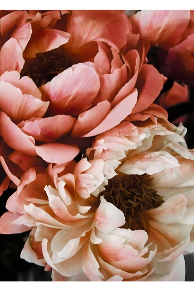 Harikabirev HARİKABİREV|SİYAH-GOLD RENK SOYUT ŞAKAYIK VE YAPRAK KOMBİN|ÇERÇEVELİ CAM TABLO 3LÜ DİKEY - Resim 3