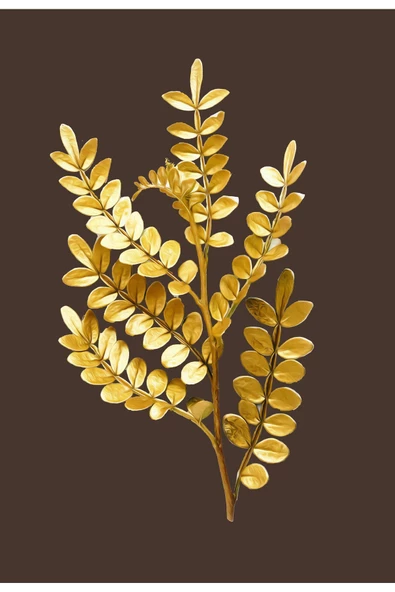 Harikabirev HARİKABİREV|SEVİLEN GOLD DAL VE ÇİÇEK KOMBİNİ |ÇERÇEVELİ CAM TABLO 2Lİ DİKEY - Resim 3