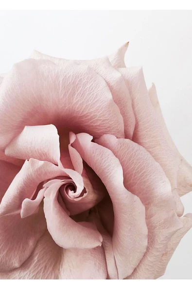 Harikabirev HARİKABİREV|ÇİÇEK VE SOYUT KOMBİNİ SOFT PEMBE |ÇERÇEVELİ CAM TABLO 2Lİ DİKEY - Resim 2