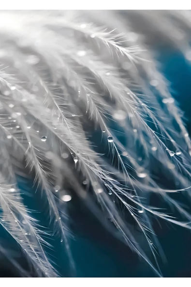 Harikabirev HARİKABİREV|SEVİLEN YAPRAK KOMBİNİ MAVİ-GRİ |ÇERÇEVELİ CAM TABLO 2Lİ DİKEY - Resim 2