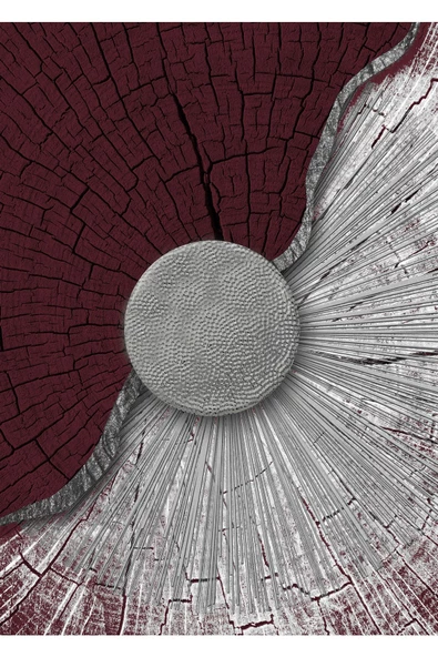 Harikabirev HARİKABİREV|BORDO - GRİ SOYUT ŞEKİL KOMBİNİ 3 |ÇERÇEVELİ TEMPERLİ CAM TABLO 3LÜ DİKEY - Resim 2