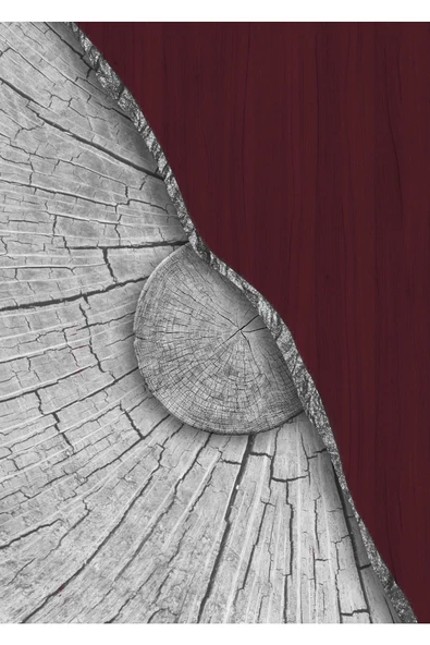 Harikabirev HARİKABİREV|BORDO - GRİ SOYUT ŞEKİL KOMBİNİ 3 |ÇERÇEVELİ TEMPERLİ CAM TABLO 3LÜ DİKEY - Resim 4