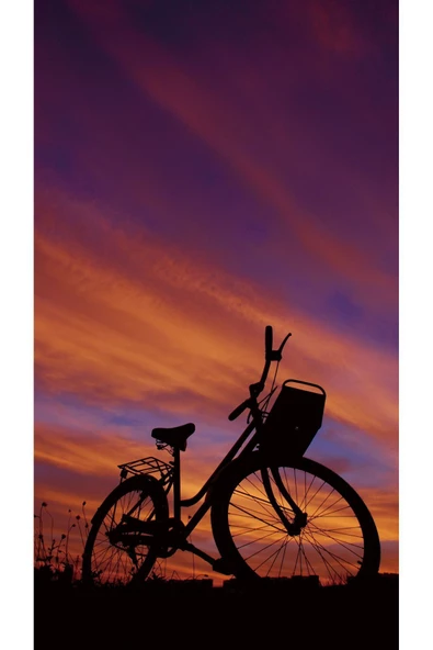 Harikabirev HARİKABİREV|MOR RENK KOMBİNİ YAZ MANZARASI DENİZ KENARI |ÇERÇEVELİ TEMPERLİ CAM TABLO 3LÜ DİKEY - Resim 3