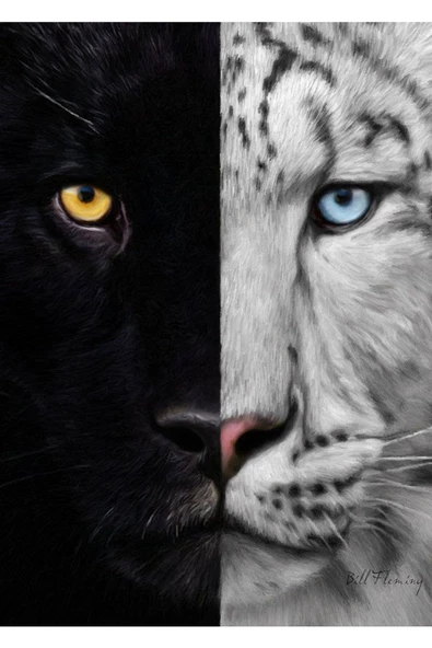 Harikabirev HARİKABİREV|ASLAN-KAPLAN-LEOPAR TABLOSU 04|ÇERÇEVELİ TEMPERLİ CAM TABLO 3LÜ DİKEY - Resim 3