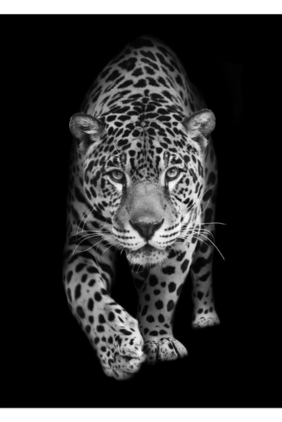 Harikabirev HARİKABİREV|ASLAN-KAPLAN-LEOPAR TABLOSU 04|ÇERÇEVELİ TEMPERLİ CAM TABLO 3LÜ DİKEY - Resim 2