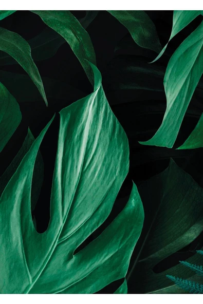 Harikabirev HARİKABİREV|YEŞİL RENK YAPRAK KOMBİNİ |ÇERÇEVELİ CAM TABLO 2Lİ DİKEY - Resim 2