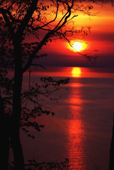 Harikabirev HARİKABİREV|KIRMIZI RENK YAZ-DENİZ MANZARASI|ÇERÇEVELİ TEMPERLİ CAM TABLO 3LÜ DİKEY - Resim 4