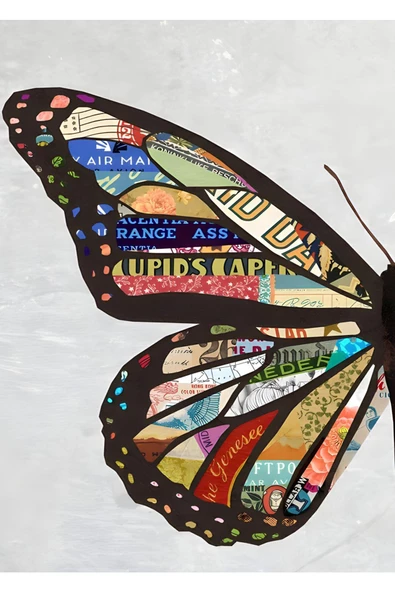 Harikabirev HARİKABİREV|VEKTÖREL KOMBİN KELEBEK-SOYUT |ÇERÇEVELİ TEMPERLİ CAM TABLO 3LÜ DİKEY - Resim 2