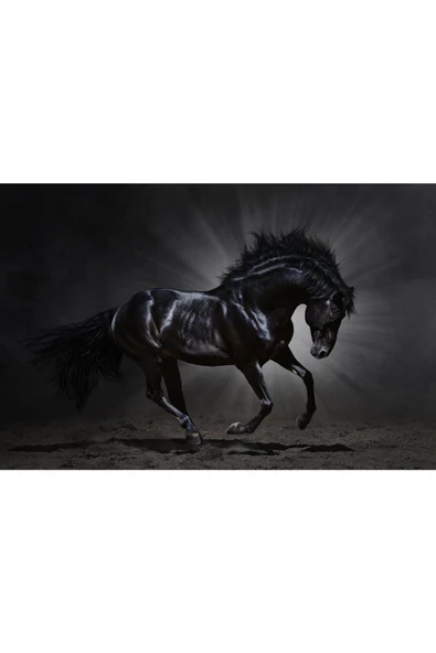 Harikabirev HARİKABİREV|SİYAH AT TABLOSU|ÇERÇEVELİ CAM TABLO TEKLİ YATAY - Resim 2