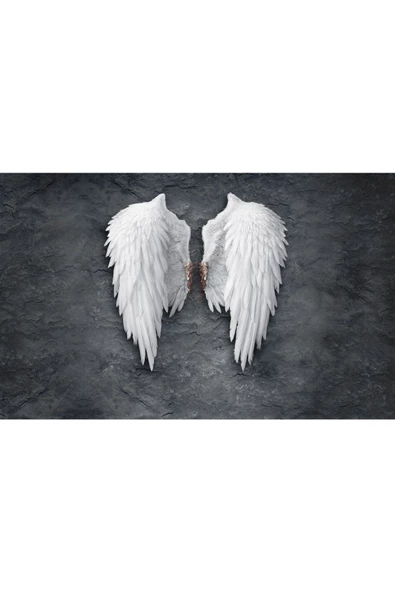 Harikabirev HARİKABİREV|BEYAZ KANATLAR ANTRASİT GRİ |ÇERÇEVELİ CAM TABLO TEKLİ YATAY - Resim 2