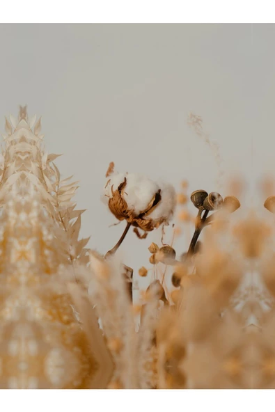 Harikabirev HARİKABİREV|SOFT-BEYAZ EN ŞIK ÇİÇEK KOMBİNİ 5|ÇERÇEVELİ TEMPERLİ CAM TABLO 3LÜ DİKEY - Resim 3