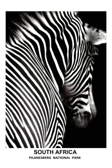 Harikabirev HARİKABİREV|SİYAH-BEYAZ EN ŞIK ZEBRA KOMBİNİ|ÇERÇEVELİ TEMPERLİ CAM TABLO 3LÜ DİKEY - Resim 4