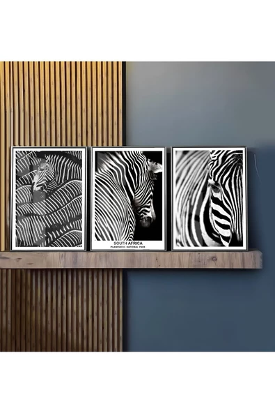 Harikabirev HARİKABİREV|SİYAH-BEYAZ EN ŞIK ZEBRA KOMBİNİ|ÇERÇEVELİ TEMPERLİ CAM TABLO 3LÜ DİKEY - Resim 2