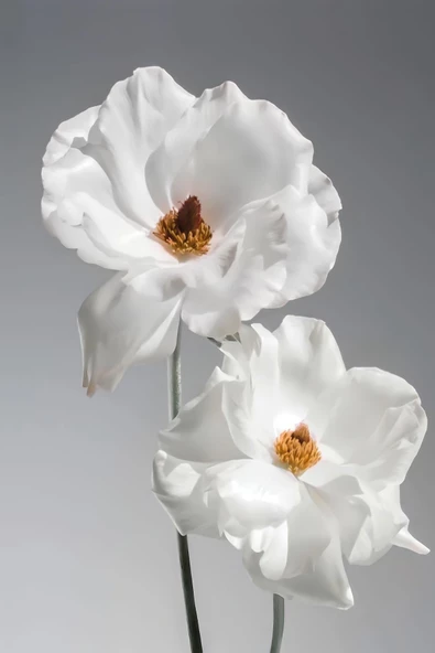 Harikabirev |antrasit Gri Kombini Çiçek Ve Sol |çerçeveli Temperli Cam Tablo 2li Dikey - Resim 3