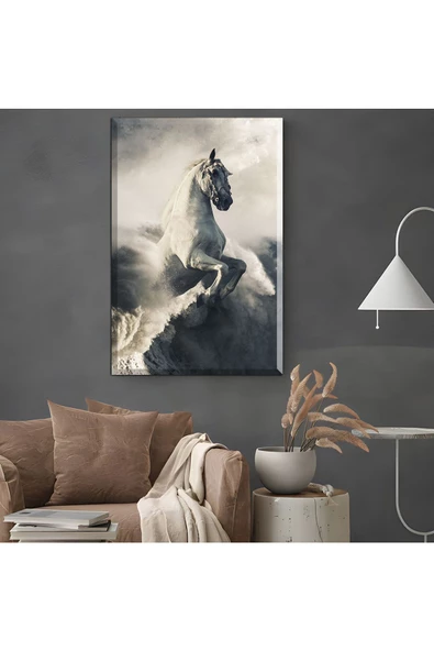 Harikabirev HARİKABİREV|ŞIK AT TABLOSU 23 |ÇERÇEVESİZ KANVAS TABLO ürün görseli