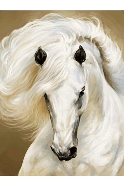 Harikabirev HARİKABİREV|ŞIK AT TABLOSU 33 |ÇERÇEVESİZ KANVAS TABLO - Resim 2