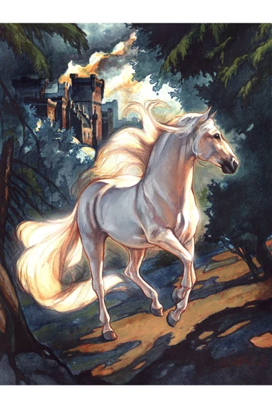 Harikabirev HARİKABİREV|ŞIK AT TABLOSU 26 |ÇERÇEVESİZ KANVAS TABLO - Resim 2