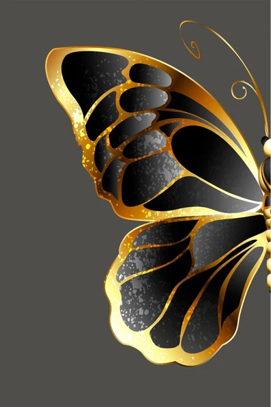 Harikabirev HARİKABİREV|SİYAH-GOLD-GRİ KELEBEK KOMBİNİ |PLEKSİ ÇERÇEVELİ MDF TABLO KRFZ - Resim 3