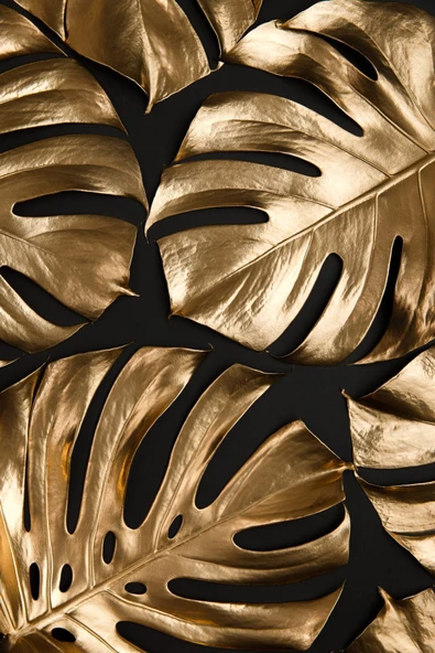 Harikabirev HARİKABİREV|SİYAH-GOLD TROPİK YAPRAK KOMBİNİ |PLEKSİ ÇERÇEVELİ MDF TABLO KRFZ - Resim 2