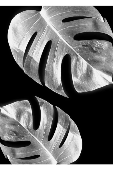 Harikabirev HARİKABİREV|GÜMÜŞÜ-SİYAH YAPRAK&ÇİÇEK KOMBİNİ |PLEKSİ ÇERÇEVELİ MDF TABLO KRFZ - 4